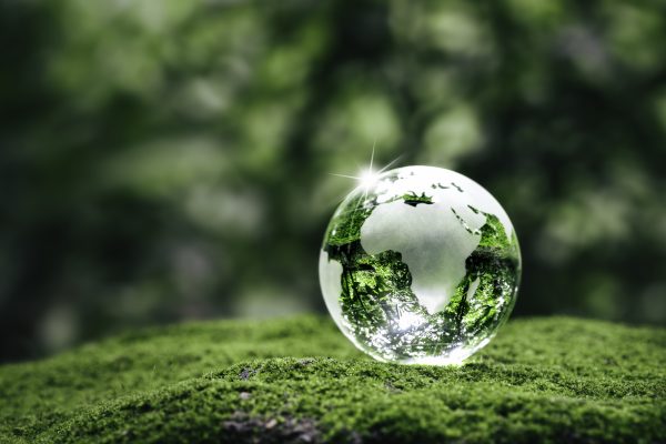 Sustainability