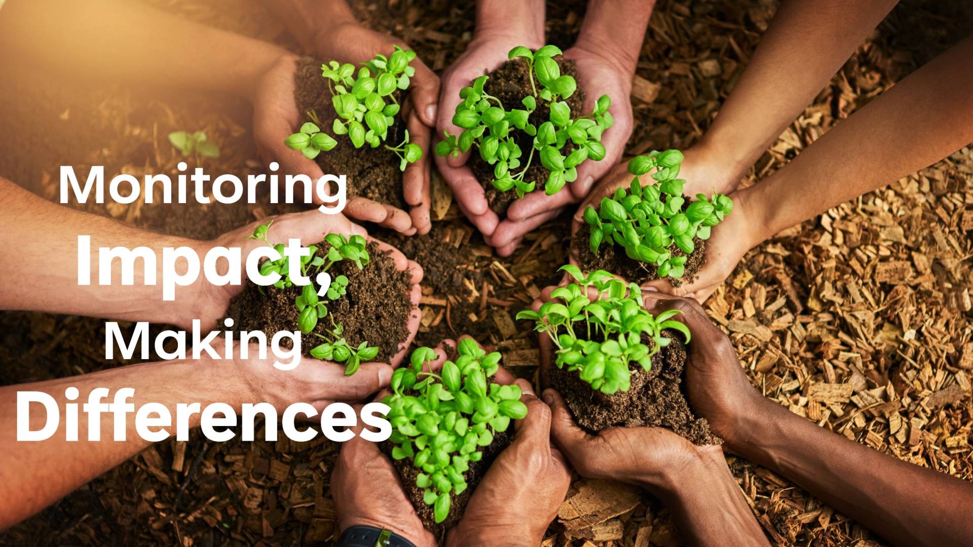 Monitoring Impact Making Differences